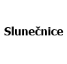 Slunečnice